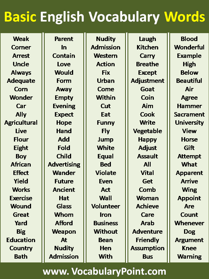 Basic Vocabulary Words