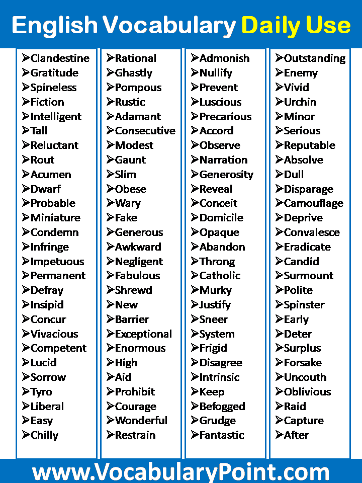 Daily Use Vocabulary Words