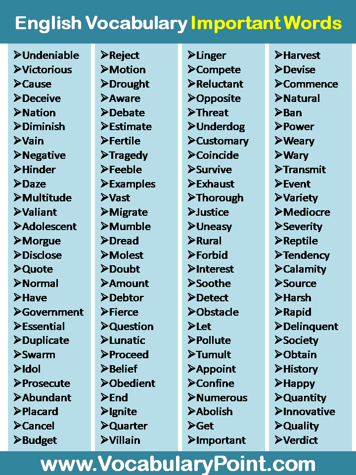English Vocabulary Important Words