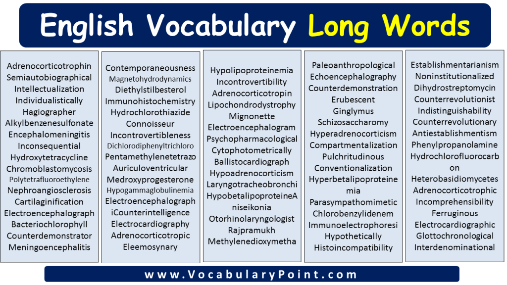 longest-words-in-english-vocabulary-point