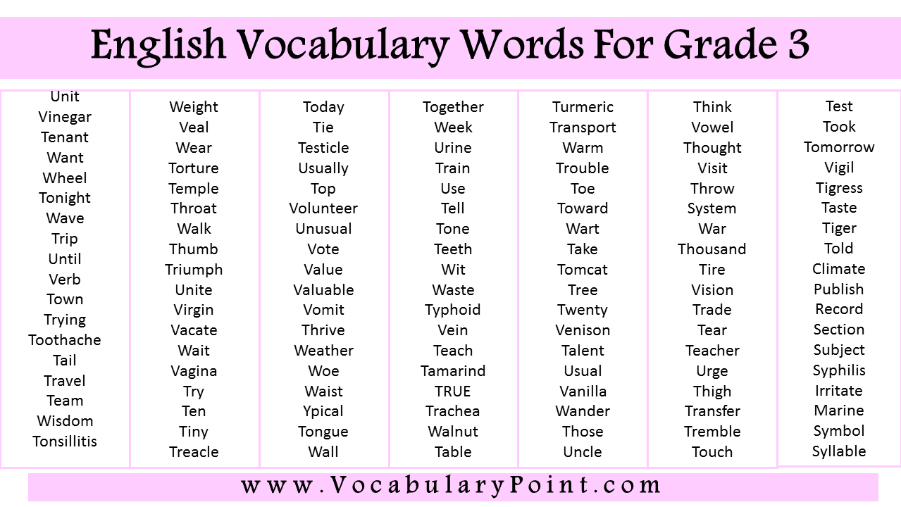 English Vocabulary Words For 3 class