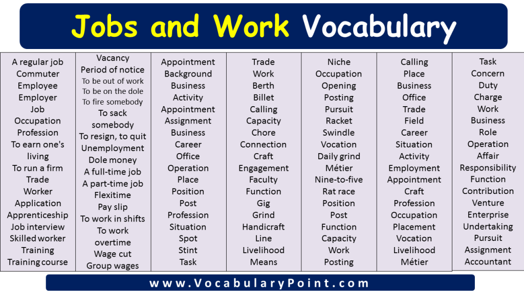 Job Vocabulary Words