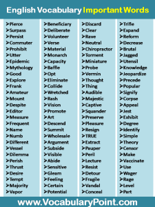 Most Important Words In English - Vocabulary Point