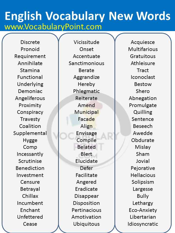Vocabulary New Words