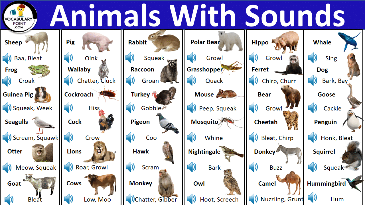 LIST OF ANIMAL SOUNDS WITH PICTURES IN ENGLISH Archives - Vocabulary Point