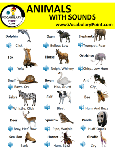 130+ Animals With Sounds Pdf | Animal Sounds List - Vocabulary Point