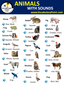 130+ Animals With Sounds Pdf | Animal Sounds List - Vocabulary Point