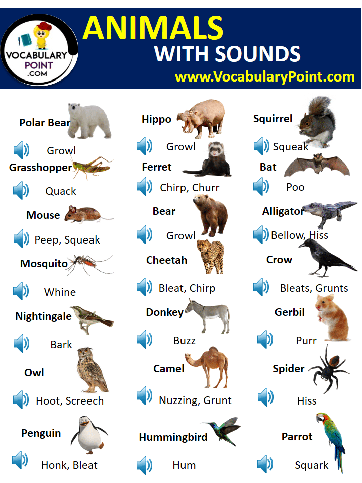 animal sounds list