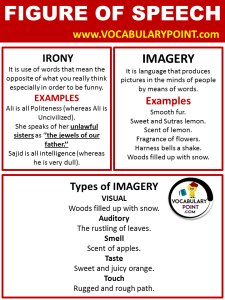 write 15 figure of speech with 2 examples