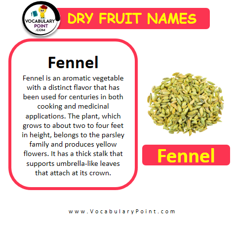 Fennel