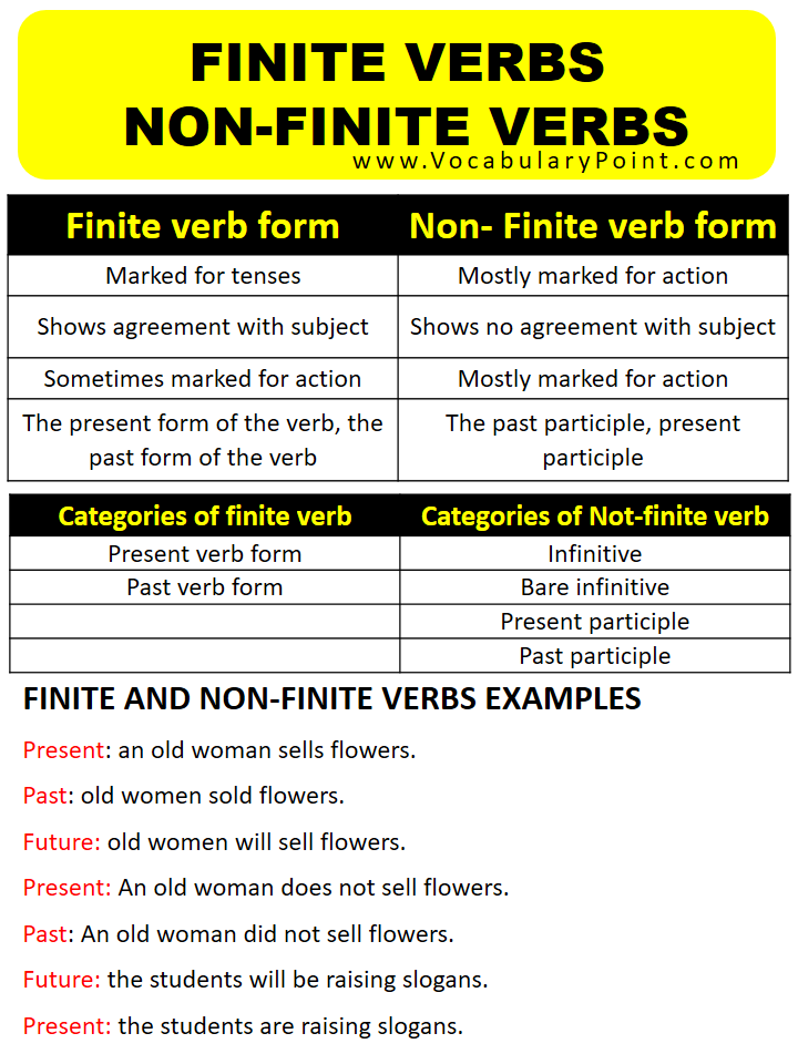 FINITE AND NON FINITE VERBS EXAMPLES Vocabulary Point