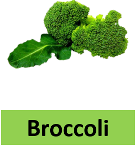 Broccoli