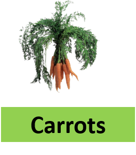 Carrots