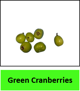 Green Cranberries