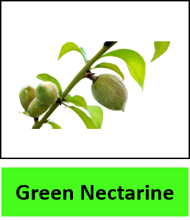 Green Nectarine