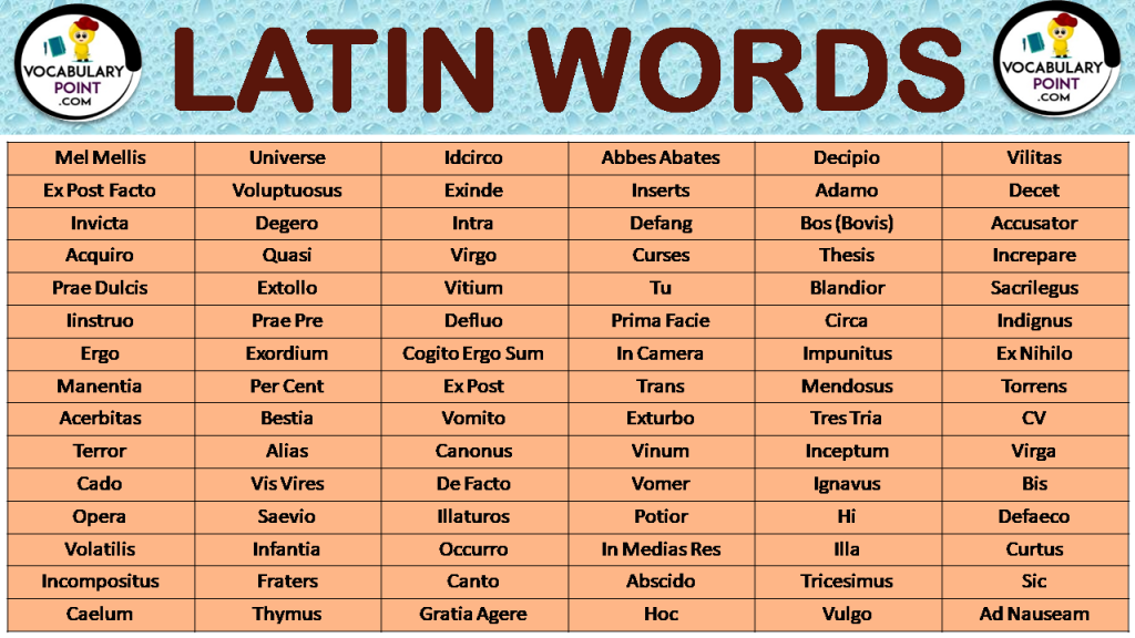 Latin Words 1024x576 