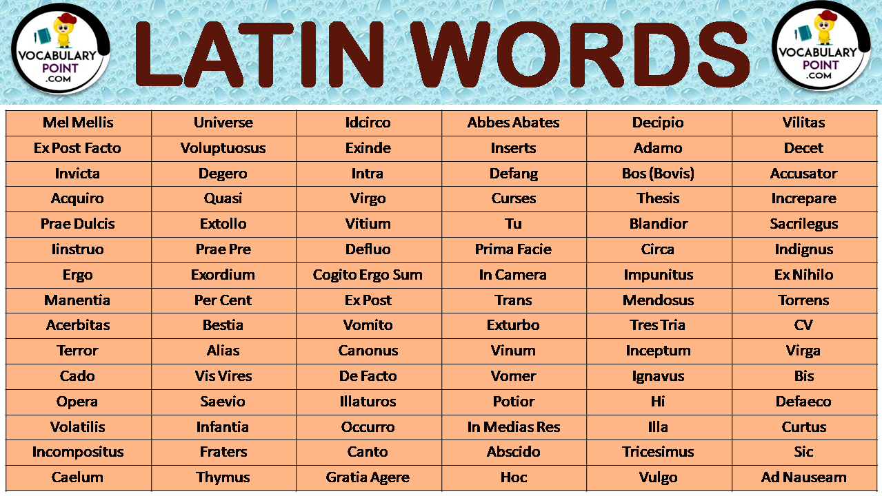 latin word for assignment