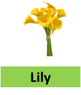 Lily