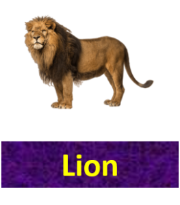 List Of Carnivorous Animals With Their Facts Vocabulary Point List Of Carnivorous Animals With Their Facts Vocabulary Point
