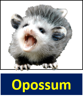 Opossum