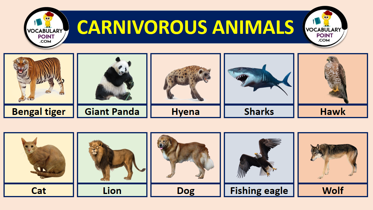 Animal Names start with A to Z Archives - Vocabulary Point