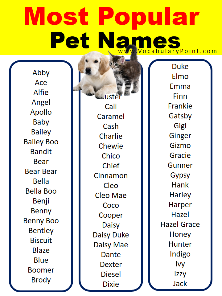 2000+ Most Popular Pet Names