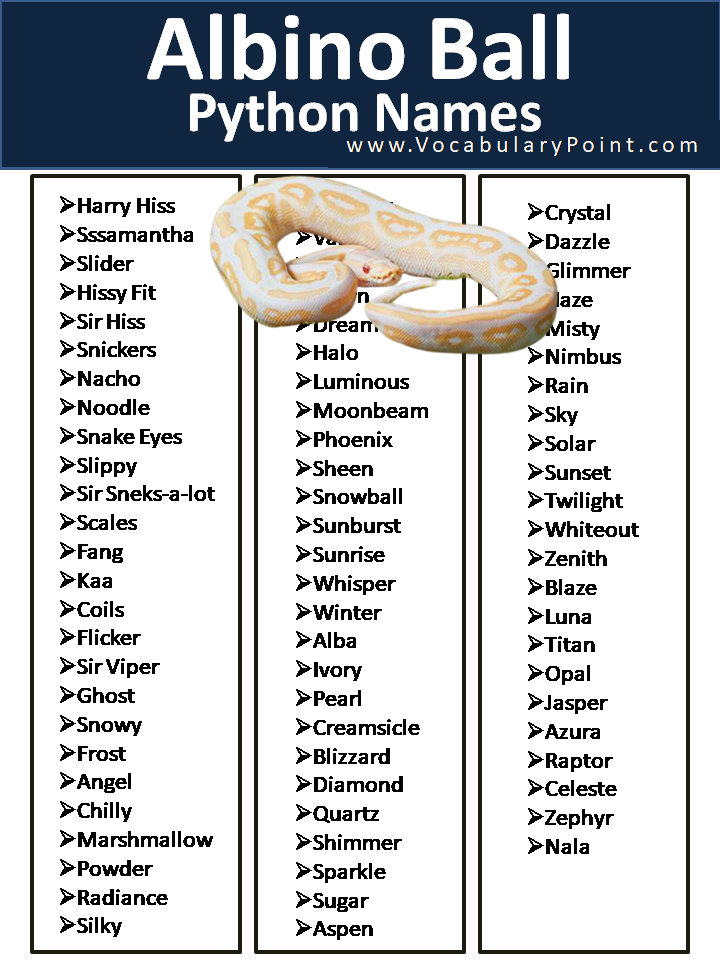 Albino Ball Python Names