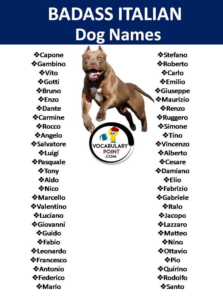 Badass Italian Dog Names