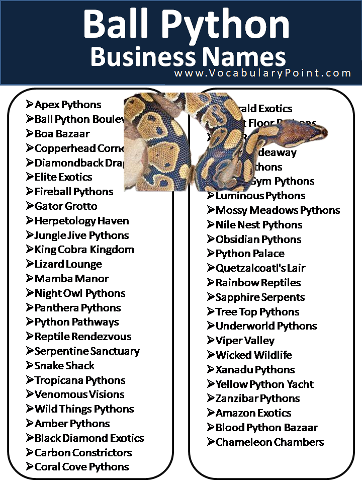 Ball Python Business Names