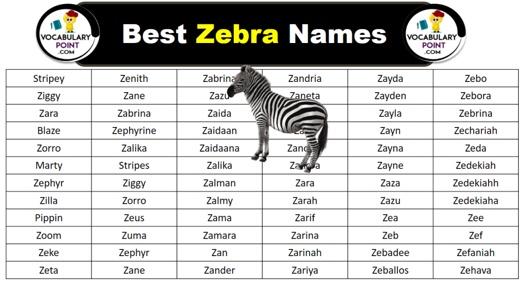 cute-funny-and-famous-zebra-names-over-200-petculiars