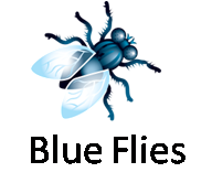 Blue Flies