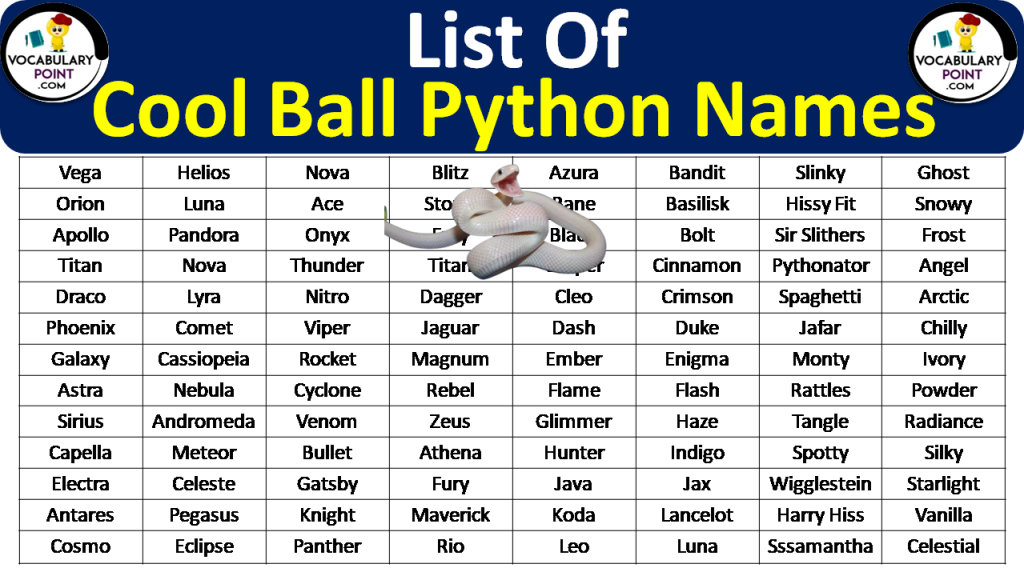 250+ Cool Ball Python Names Vocabulary Point