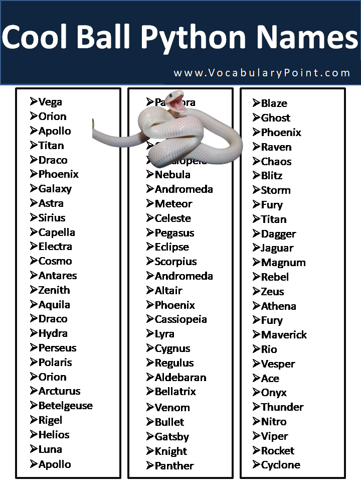 Cool Ball Python Names 2