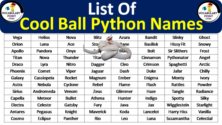 250 Cool Ball Python Names Vocabulary Point 250-cool-ball-python-names-vocabulary-point