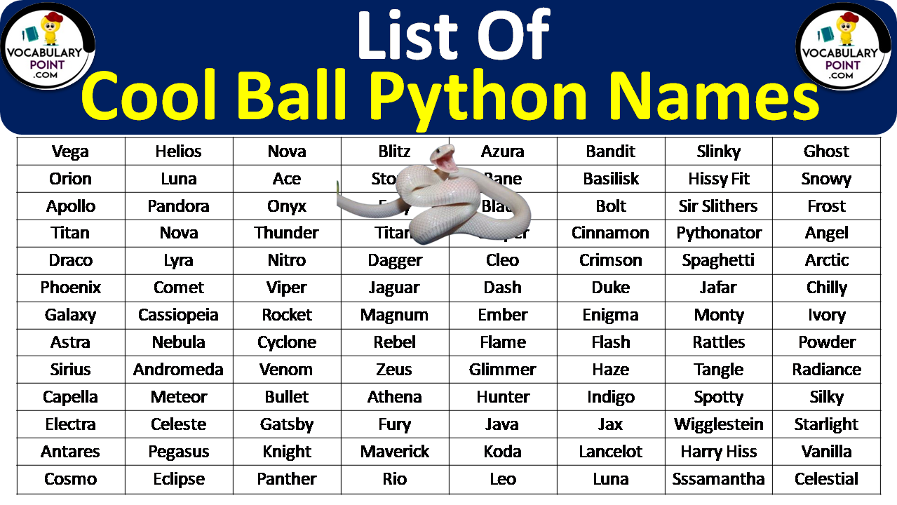 Cool Ball Python Names