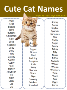 2000+ Most Popular Pet Names (Dog, Cat & Birds) - Vocabulary Point