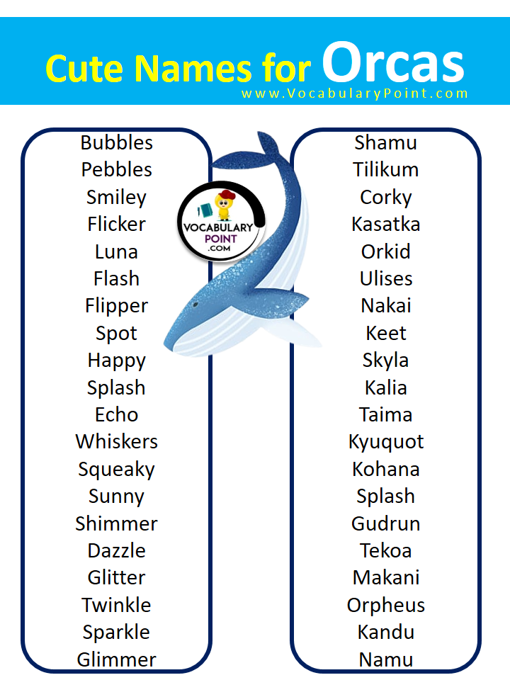Cute Names for Orcas