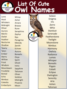 500+ Best Owl Names (Cute, Funny & Fantasy) - Vocabulary Point