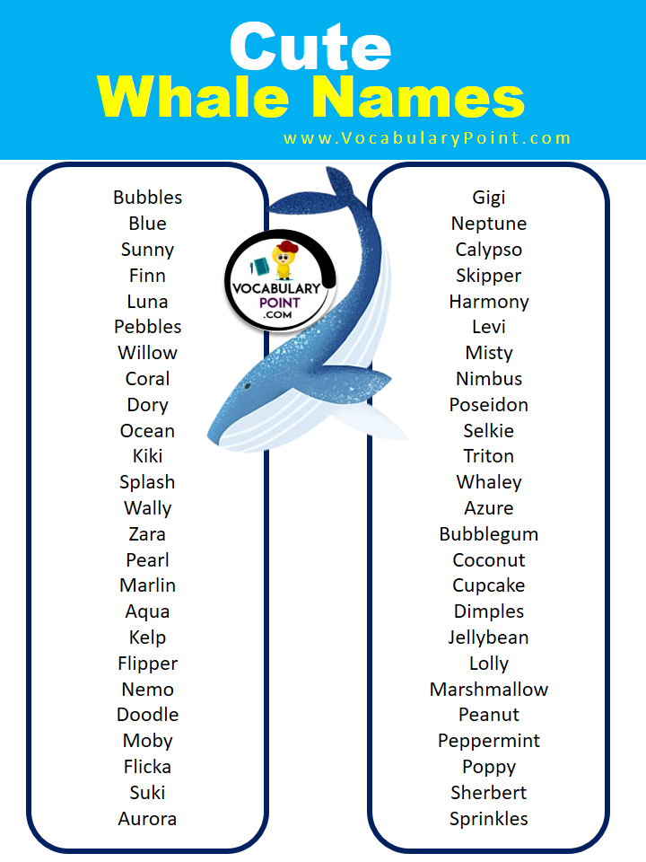 Cute Whale Names