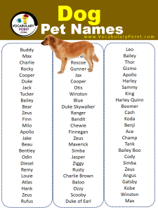 2000+ Most Popular Pet Names (Dog, Cat & Birds) - Vocabulary Point