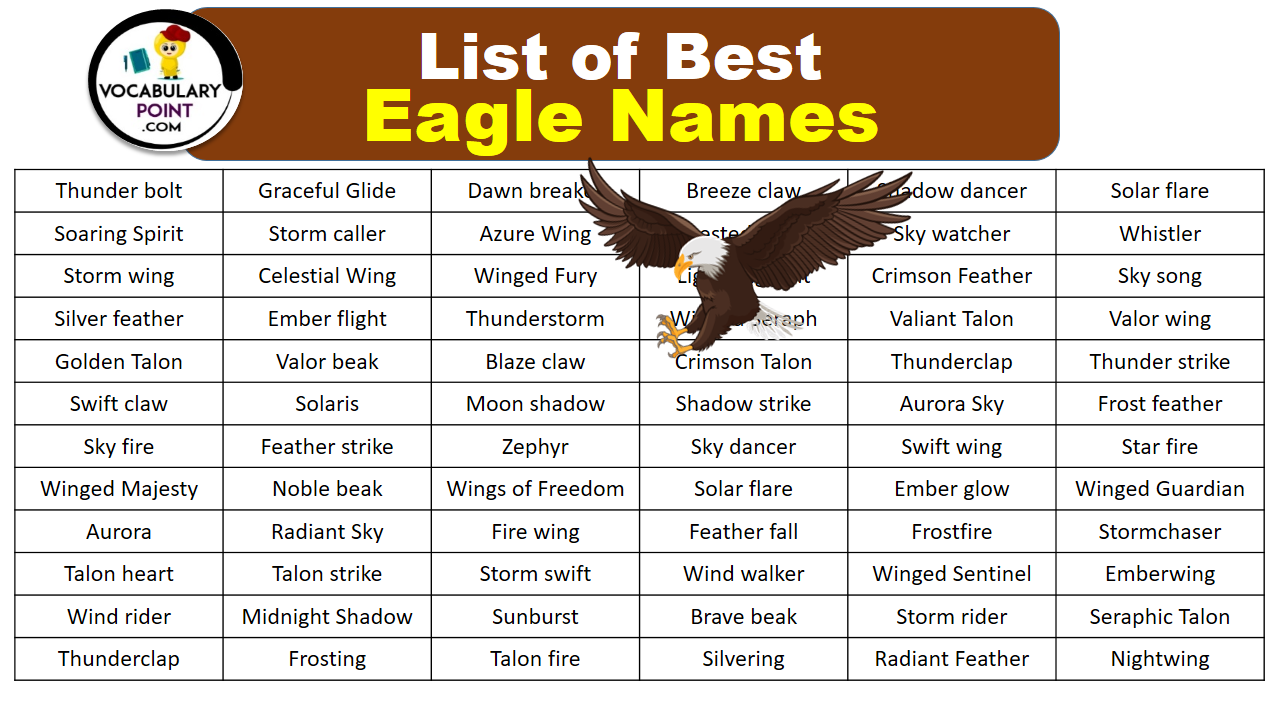 300 Best Eagle Names Famous Eagle Names Vocabulary Point