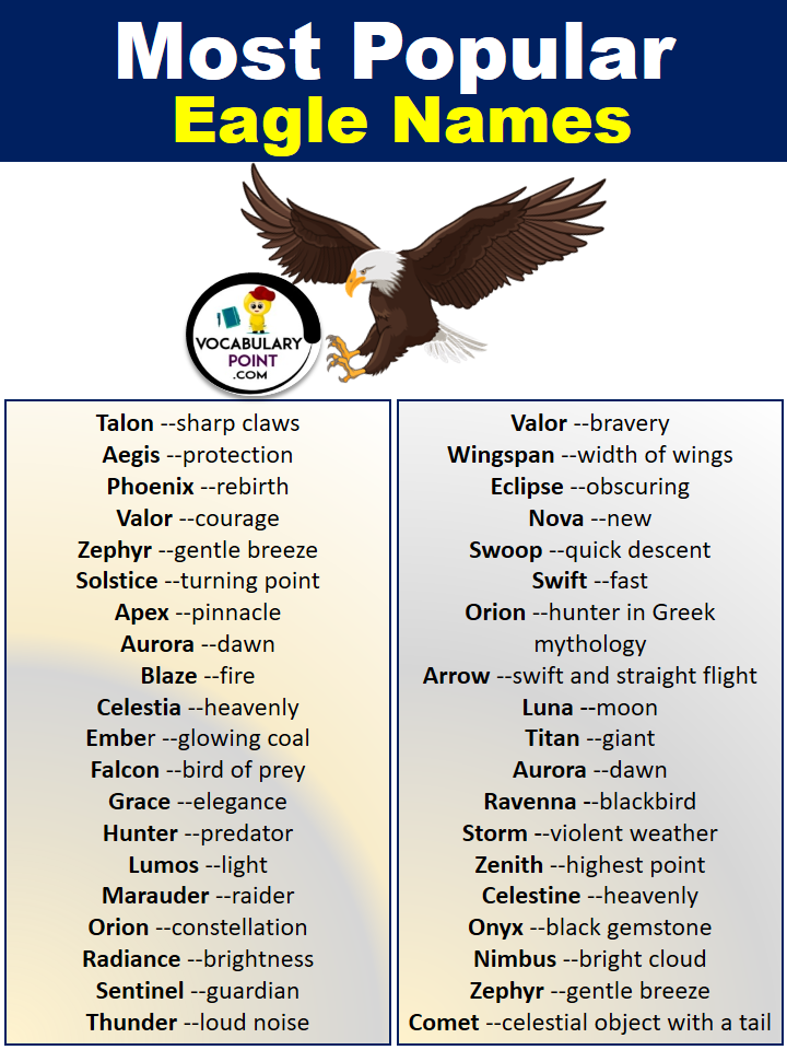 300 Best Eagle Names Famous Eagle Names Vocabulary Point