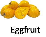 Eggfruit
