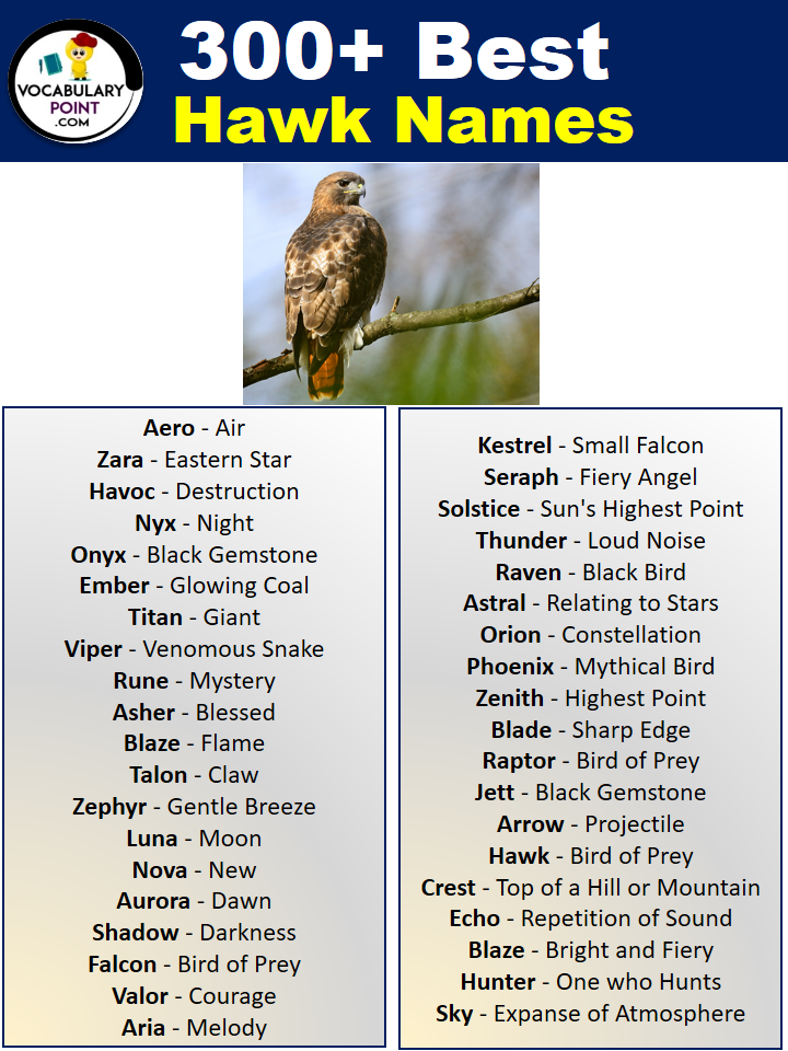 Famous Hawk Names with Meaning