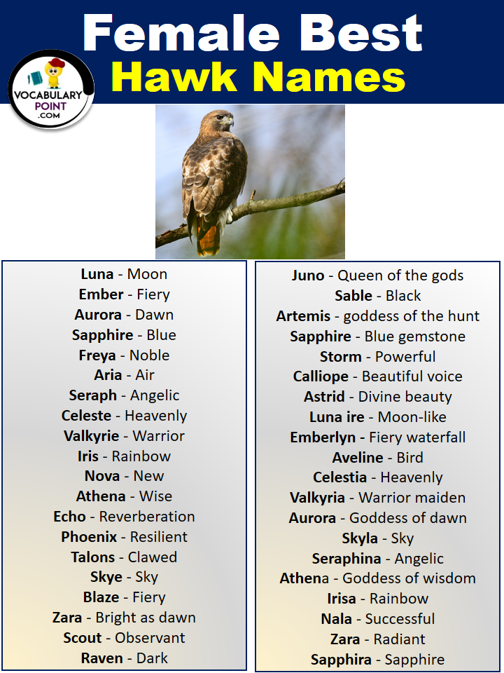 Female Hawk Names