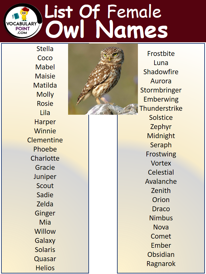 Female Owl Names