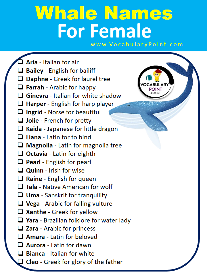 Female Whale Names with Meaning