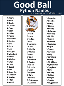 250+ Cool Ball Python Names - Vocabulary Point