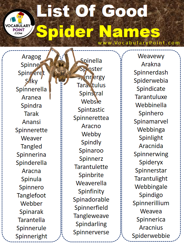Good Spider Names