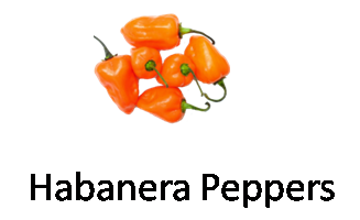Habanera Peppers